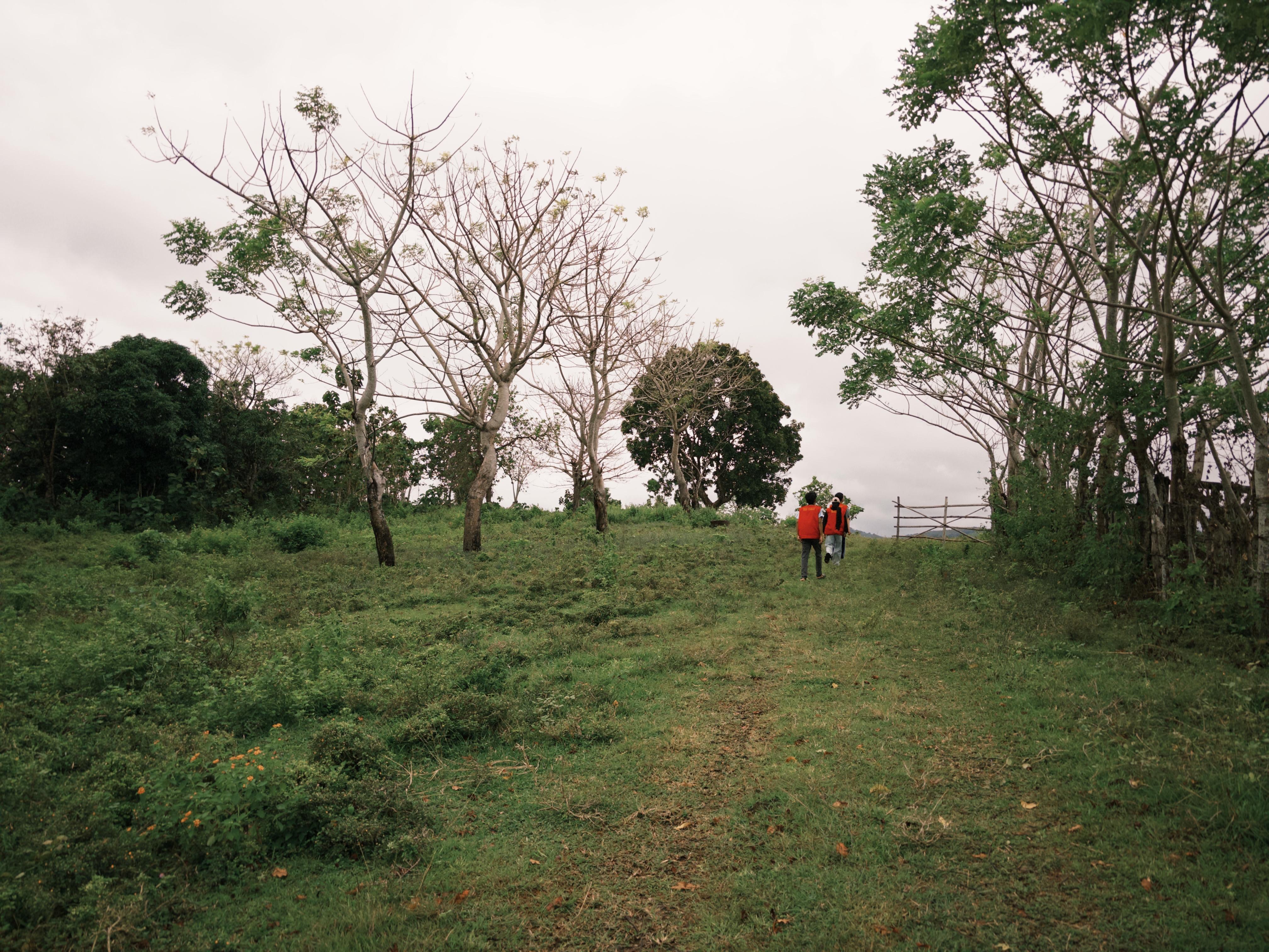 Pariwisata di Tellumpanua