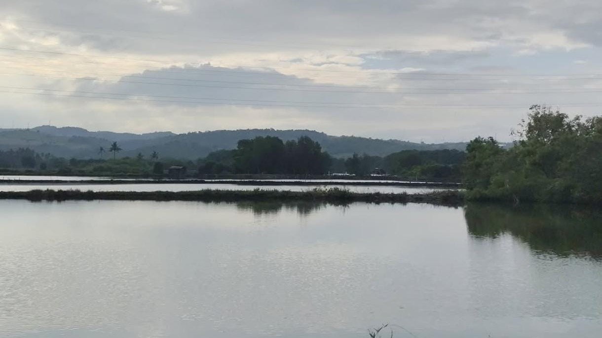 Perikanan di Tellumpanua