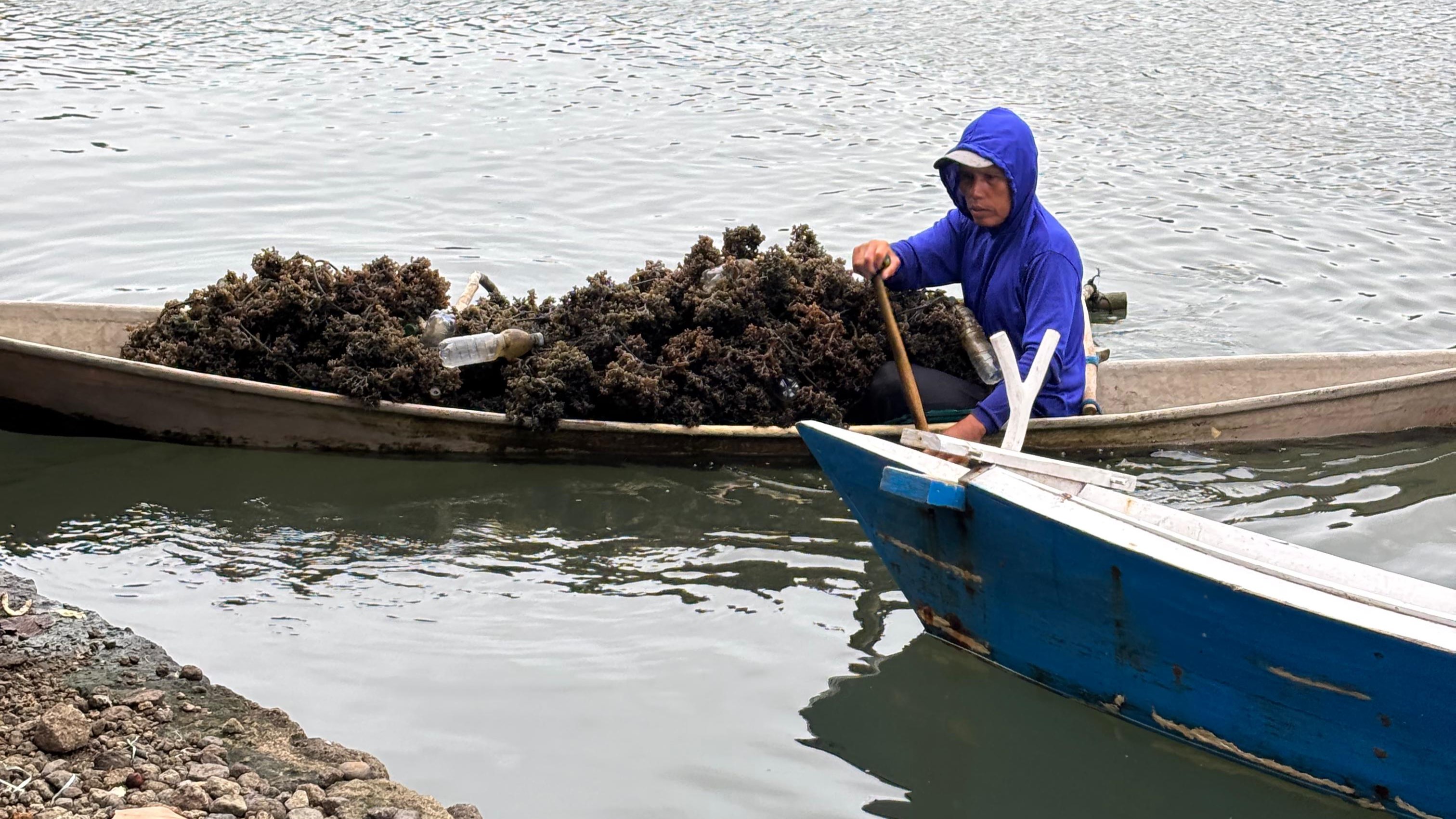 Perikanan di Tellumpanua